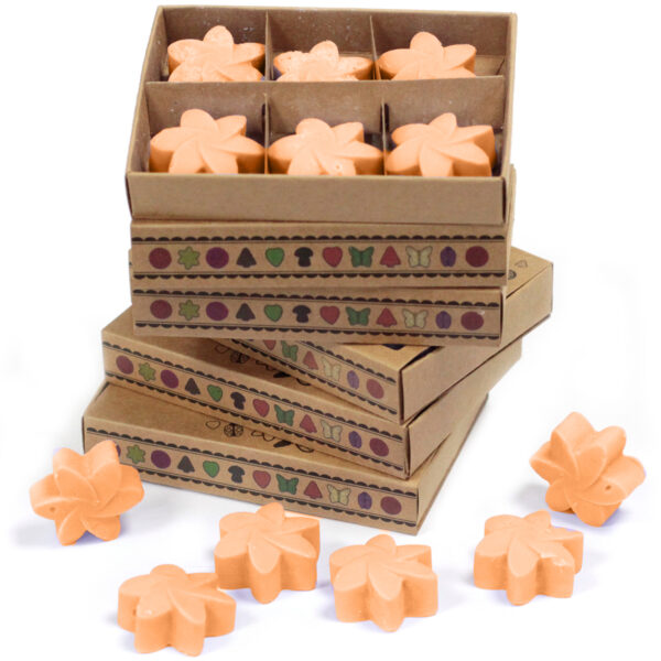 5x Caja de Cera de Soja-Mango - Imagen 2