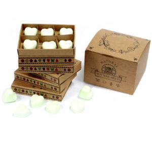 Cajas de 6 Ceras de Soja - manzana especiada