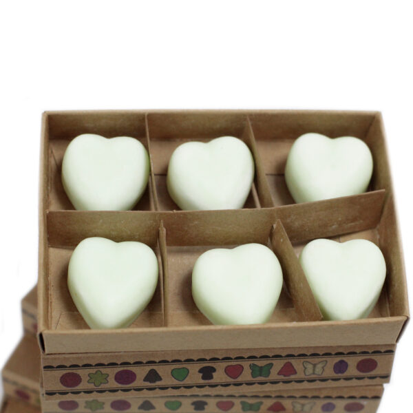 Cajas de 6 Ceras de Soja - manzana especiada - Imagen 3