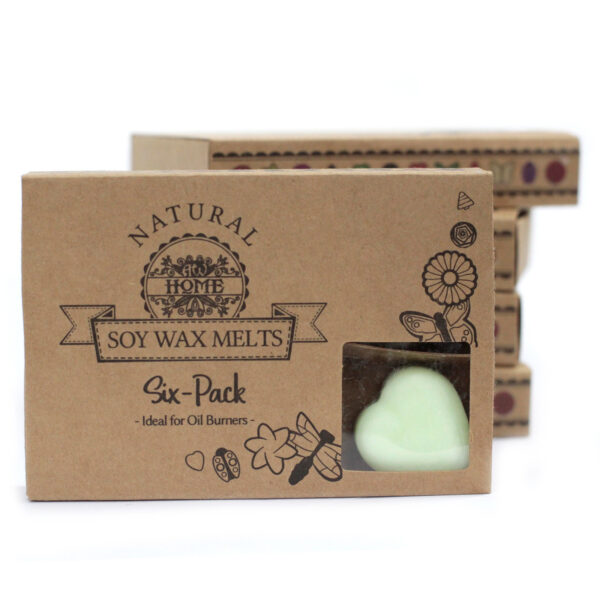Cajas de 6 Ceras de Soja - manzana especiada - Imagen 4