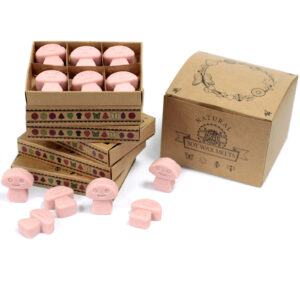Cajas de 6 Ceras de Soja - Café