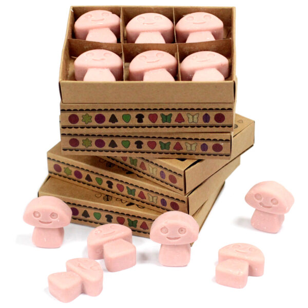 Cajas de 6 Ceras de Soja - Café - Imagen 2