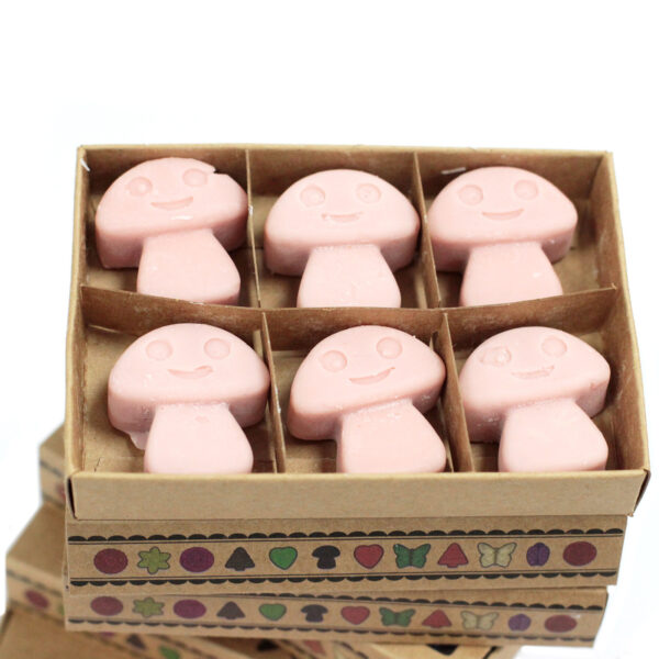 Cajas de 6 Ceras de Soja - Café - Imagen 3