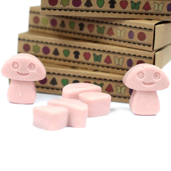 Cajas de 6 Ceras de Soja - Café - Imagen 4