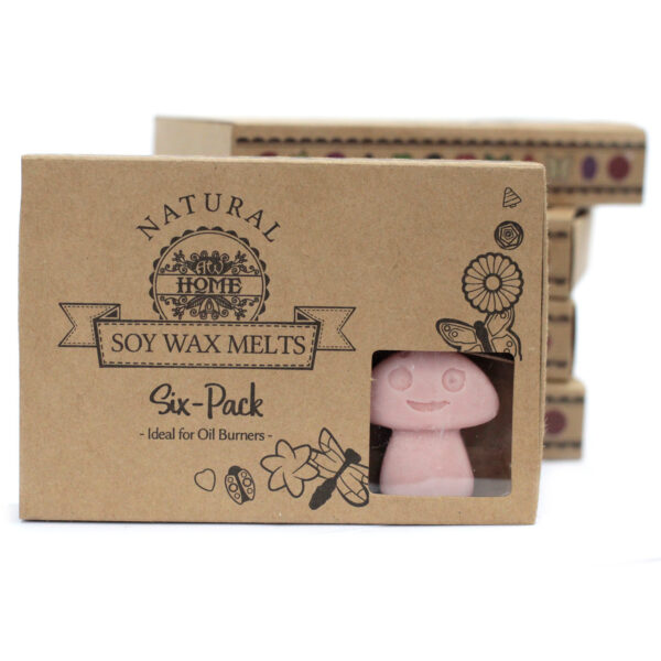 Cajas de 6 Ceras de Soja - Café - Imagen 5