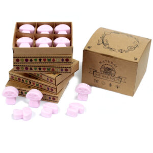 Cajas de 6 Ceras de Soja - Ylang Ylang