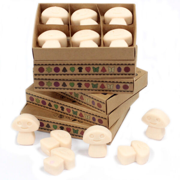 Cajas de 6 Ceras de Soja - Nuez moscada y vainilla - Imagen 2