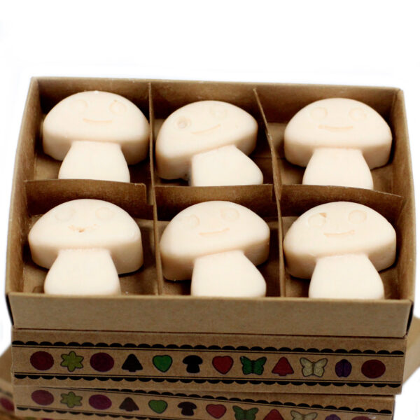 Cajas de 6 Ceras de Soja - Nuez moscada y vainilla - Imagen 3