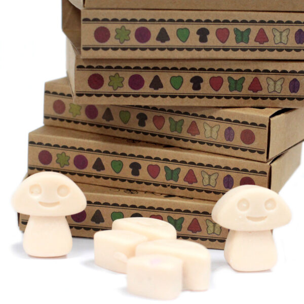Cajas de 6 Ceras de Soja - Nuez moscada y vainilla - Imagen 4