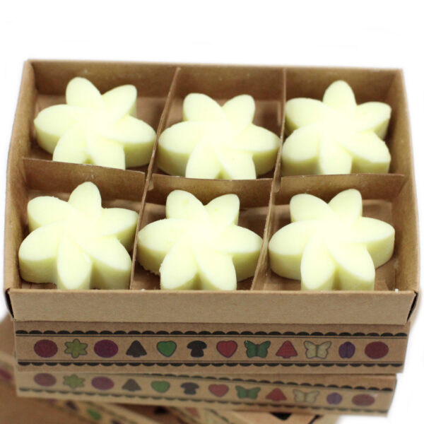 Cajas de 6 Ceras de Soja - Limón - Imagen 3