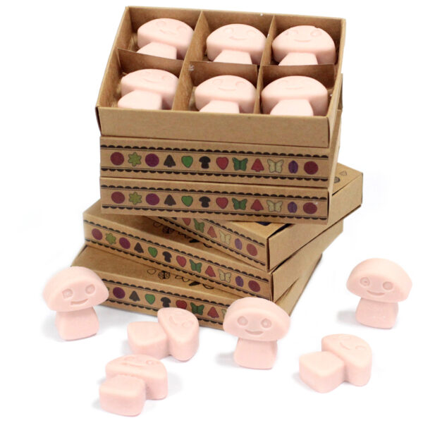 Cajas de 6 Ceras de Soja - Jengibre - Imagen 2