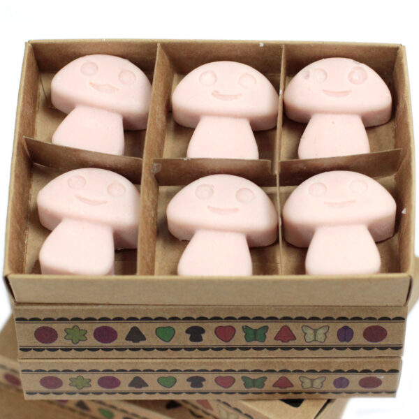 Cajas de 6 Ceras de Soja - Jengibre - Imagen 3