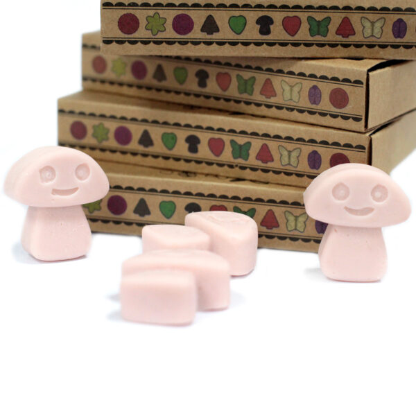 Cajas de 6 Ceras de Soja - Jengibre - Imagen 4