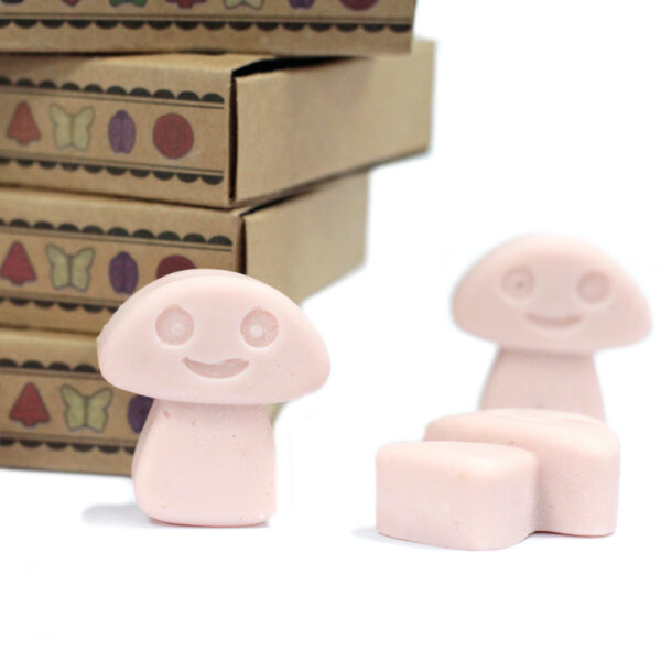 Cajas de 6 Ceras de Soja - Jengibre - Imagen 5