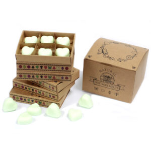 Cajas de 6 Ceras de Soja - Sandía