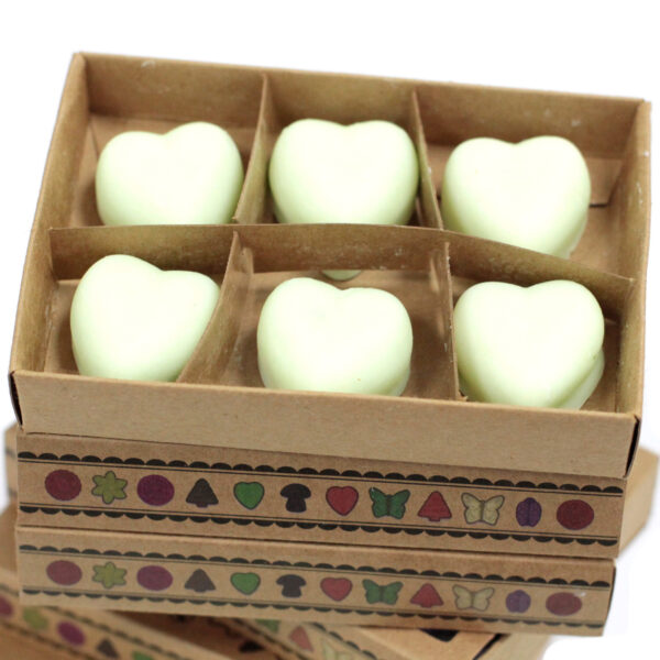 Cajas de 6 Ceras de Soja - Sandía - Imagen 2