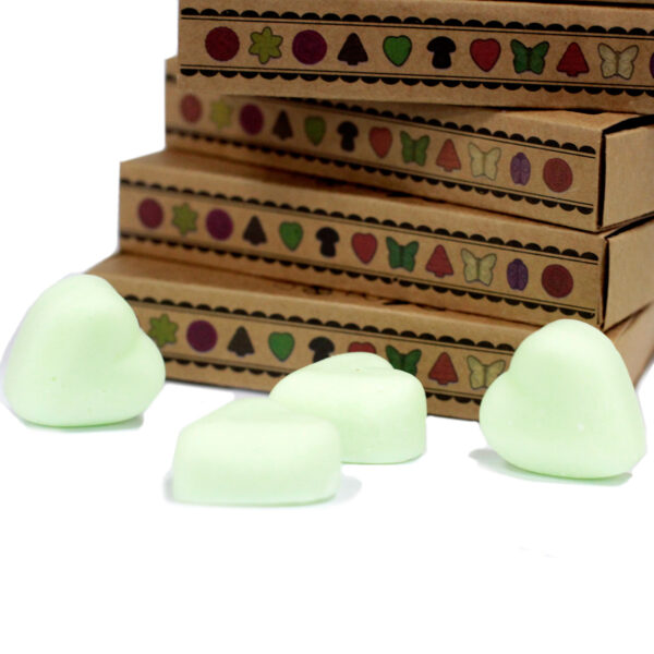 Cajas de 6 Ceras de Soja - Sandía - Imagen 3