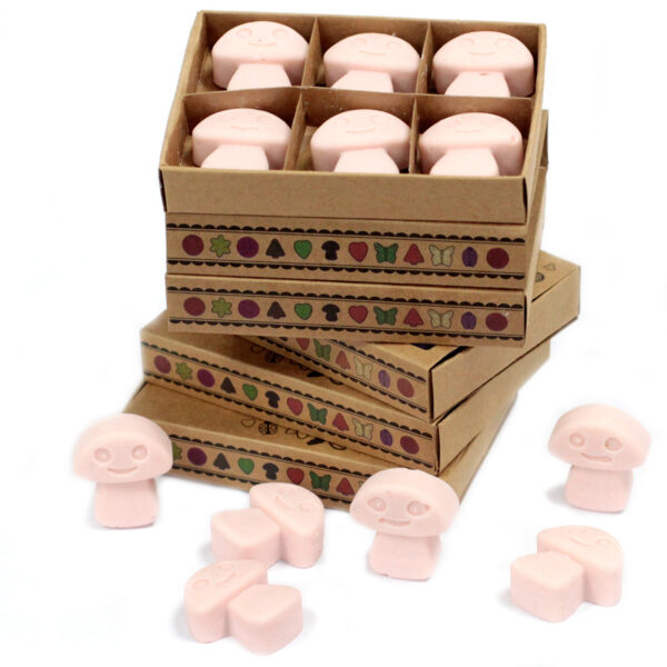 Cajas de 6 Ceras de Soja- Sándalo - Imagen 2