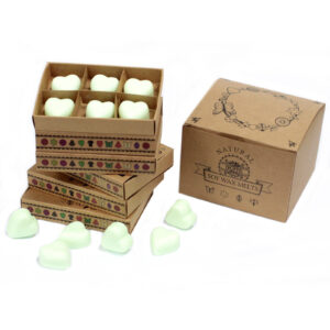 Cajas de 6 Ceras de Soja - Menta y mentol