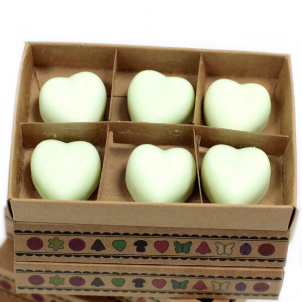 Cajas de 6 Ceras de Soja - Menta y mentol - Imagen 3