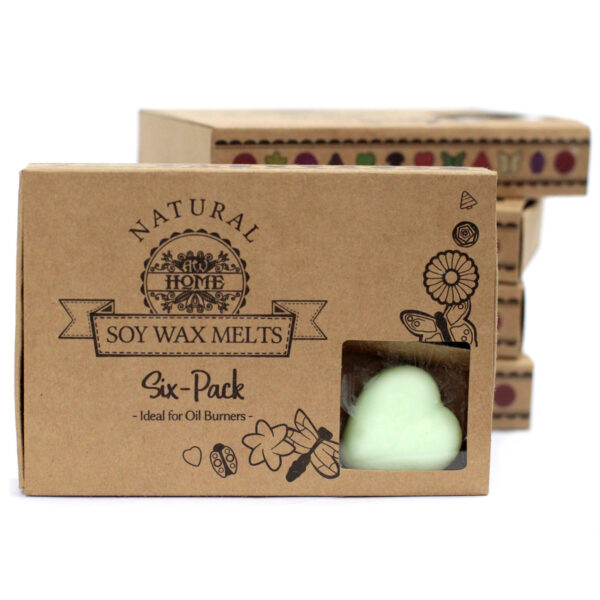 Cajas de 6 Ceras de Soja - Menta y mentol - Imagen 6