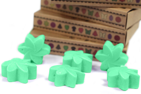 Cajas de 6 Ceras de Soja - Jardín escondido - Imagen 3