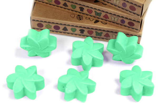 Cajas de 6 Ceras de Soja - Jardín escondido - Imagen 5