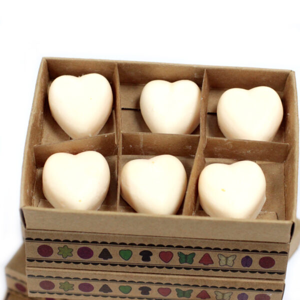 Cajas de 6 Ceras de Soja - Canela Y Naranja - Imagen 4
