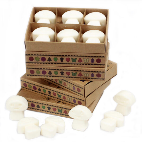 Cajas de 6 Ceras de Soja - Almizcle blanco - Imagen 2