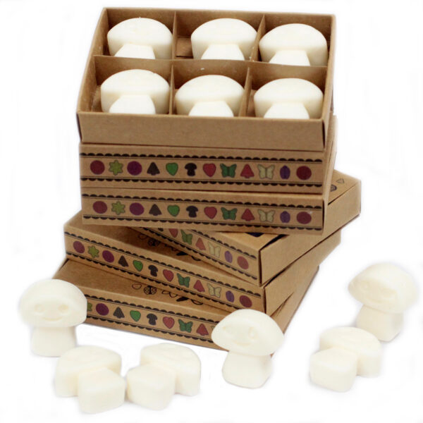 Cajas de 6 Ceras de Soja - Almizcle blanco - Imagen 3