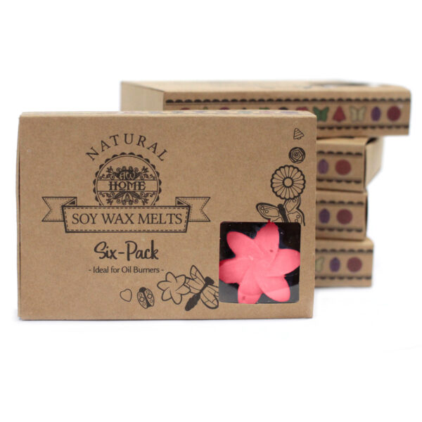 Cajas de 6 Ceras de Soja - Rosa clásica - Imagen 6
