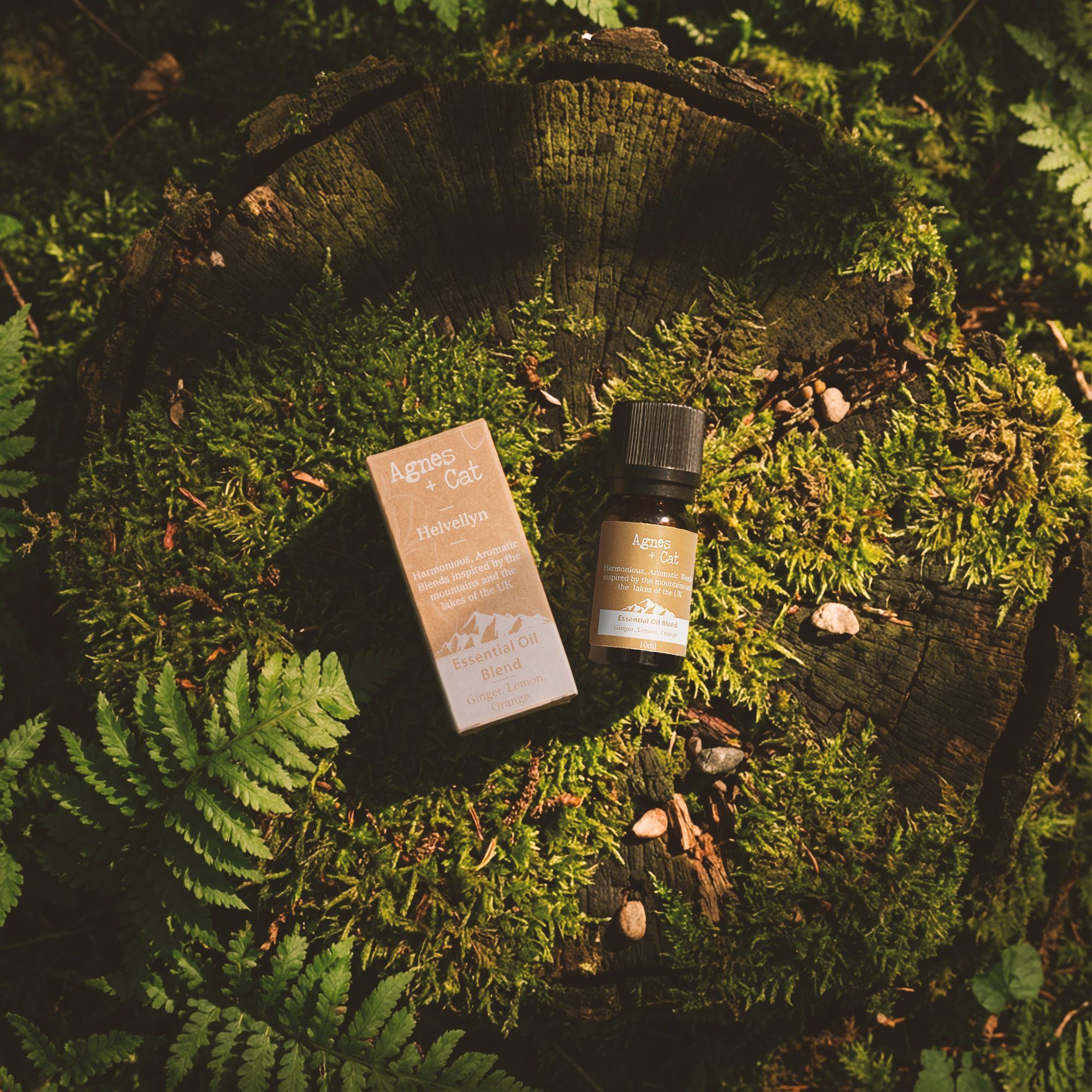 Mezcla de Aceites Esenciales - Caja Skiddaw - Naranja, Lavanda y Abeto - Imagen 4